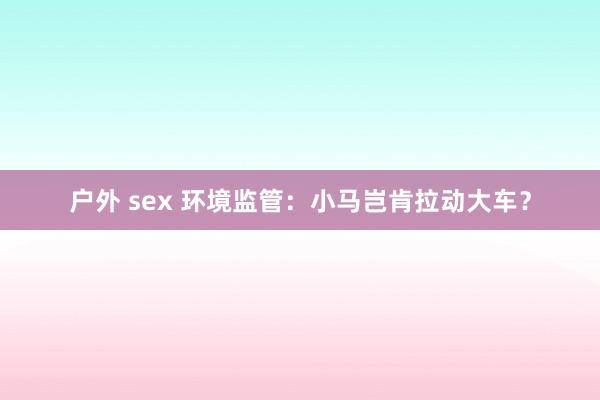 户外 sex 环境监管：小马岂肯拉动大车？