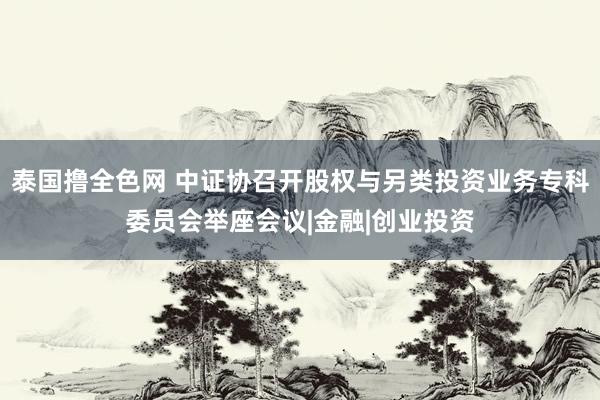 泰国撸全色网 中证协召开股权与另类投资业务专科委员会举座会议|金融|创业投资