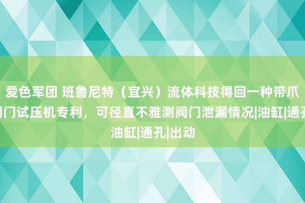 爱色军团 班鲁尼特（宜兴）流体科技得回一种带爪缸的阀门试压机专利，可径直不雅测阀门泄漏情况|油缸|通孔|出动