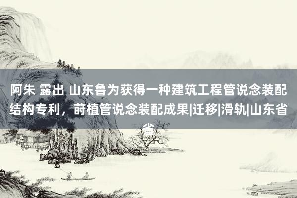 阿朱 露出 山东鲁为获得一种建筑工程管说念装配结构专利，莳植管说念装配成果|迁移|滑轨|山东省