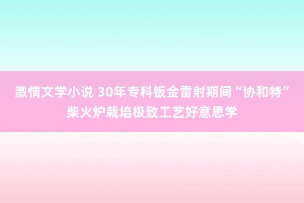 激情文学小说 30年专科钣金雷射期间“协和特”柴火炉栽培极致工艺好意思学