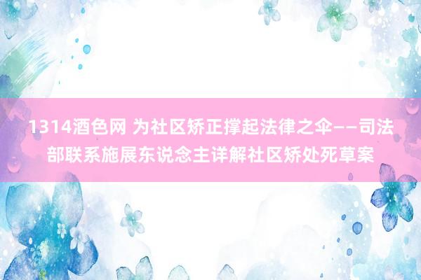 1314酒色网 为社区矫正撑起法律之伞——司法部联系施展东说念主详解社区矫处死草案