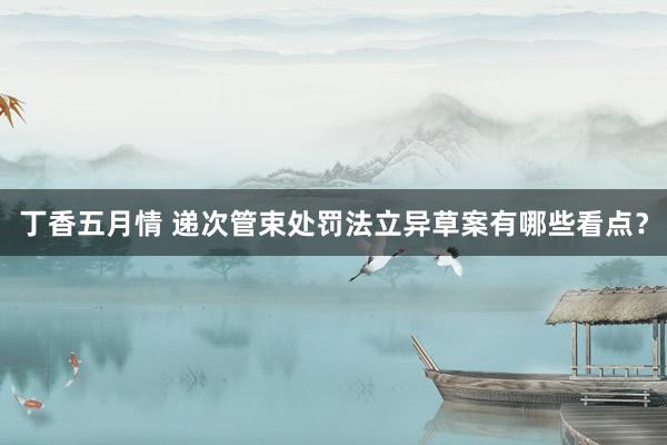 丁香五月情 递次管束处罚法立异草案有哪些看点？