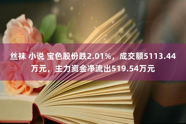 丝袜 小说 宝色股份跌2.01%，成交额5113.44万元，主力资金净流出519.54万元
