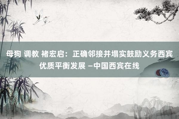 母狗 调教 褚宏启：正确邻接并塌实鼓励义务西宾优质平衡发展 —中国西宾在线