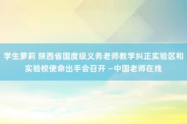 学生萝莉 陕西省国度级义务老师教学纠正实验区和实验校使命出手会召开 —中国老师在线