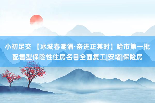 小初足交 【冰城春潮涌·奋进正其时】哈市第一批配售型保险性住房名目全面复工|安堵|保险房