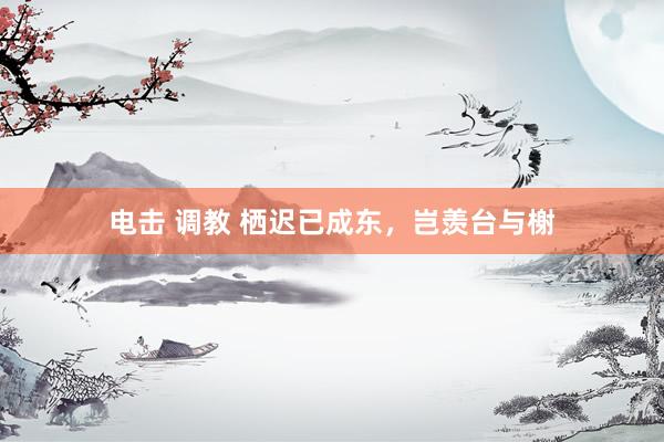 电击 调教 栖迟已成东，岂羡台与榭