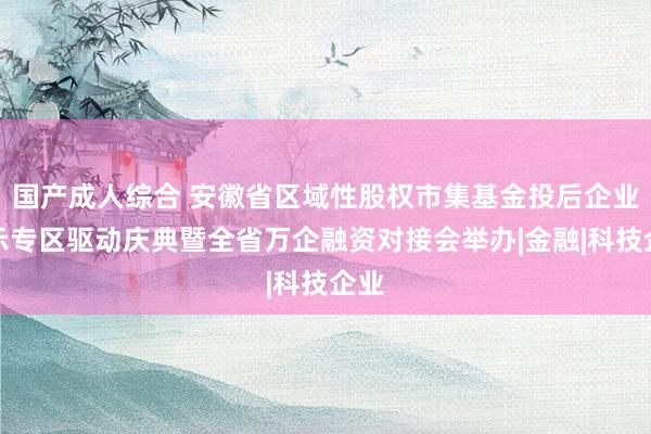 国产成人综合 安徽省区域性股权市集基金投后企业展示专区驱动庆典暨全省万企融资对接会举办|金融|科技企业