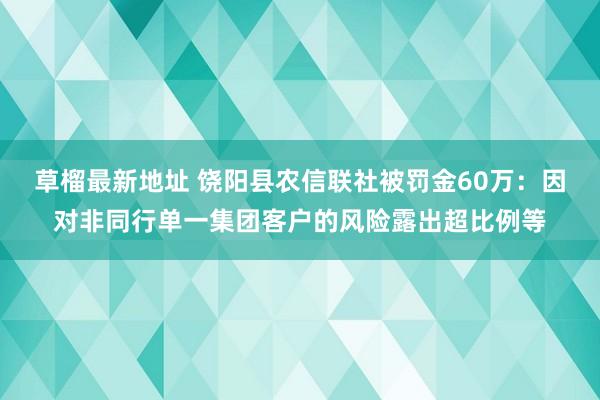 草榴最新地址 饶阳县农信联社被罚金60万：因对非同行单一集团客户的风险露出超比例等