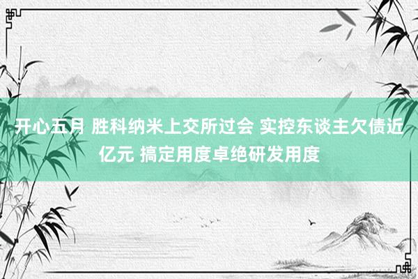 开心五月 胜科纳米上交所过会 实控东谈主欠债近亿元 搞定用度卓绝研发用度
