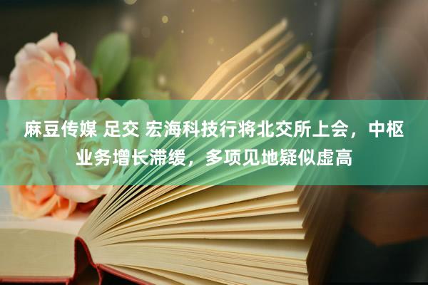 麻豆传媒 足交 宏海科技行将北交所上会，中枢业务增长滞缓，多项见地疑似虚高