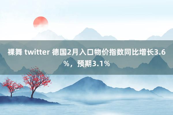 裸舞 twitter 德国2月入口物价指数同比增长3.6%，预期3.1%