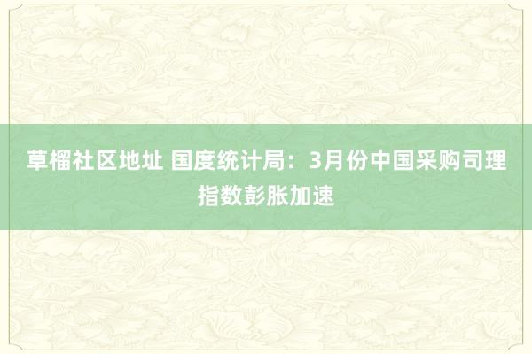 草榴社区地址 国度统计局：3月份中国采购司理指数彭胀加速
